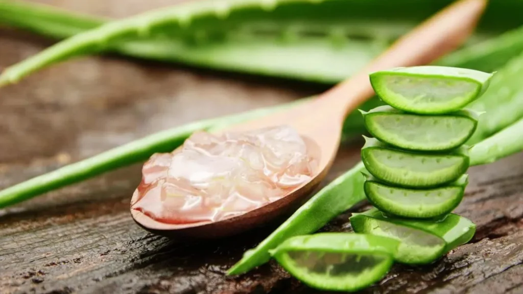 فواید شگفت انگیز آلوورا برای پوست + 5 روش استفاده از روش 2 amazing benefits of aloe vera for skin03
