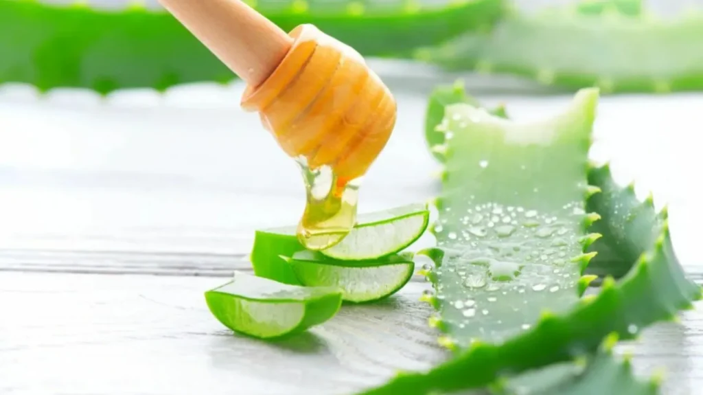 فواید شگفت انگیز آلوورا برای پوست + 5 روش استفاده از روش 3 amazing benefits of aloe vera for skin04